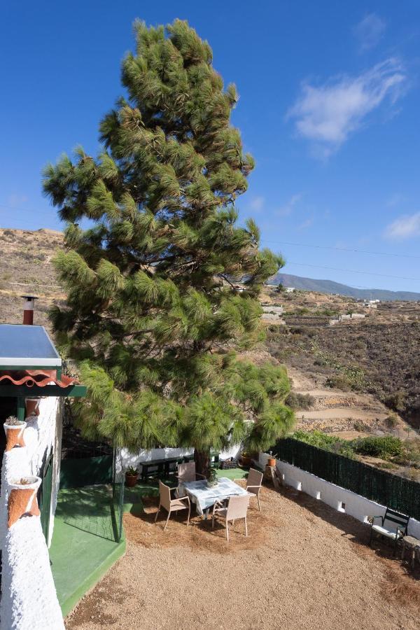 La Zarza Rural Experience By Sunkeyrents Villa Santa Cruz de Tenerife Kültér fotó